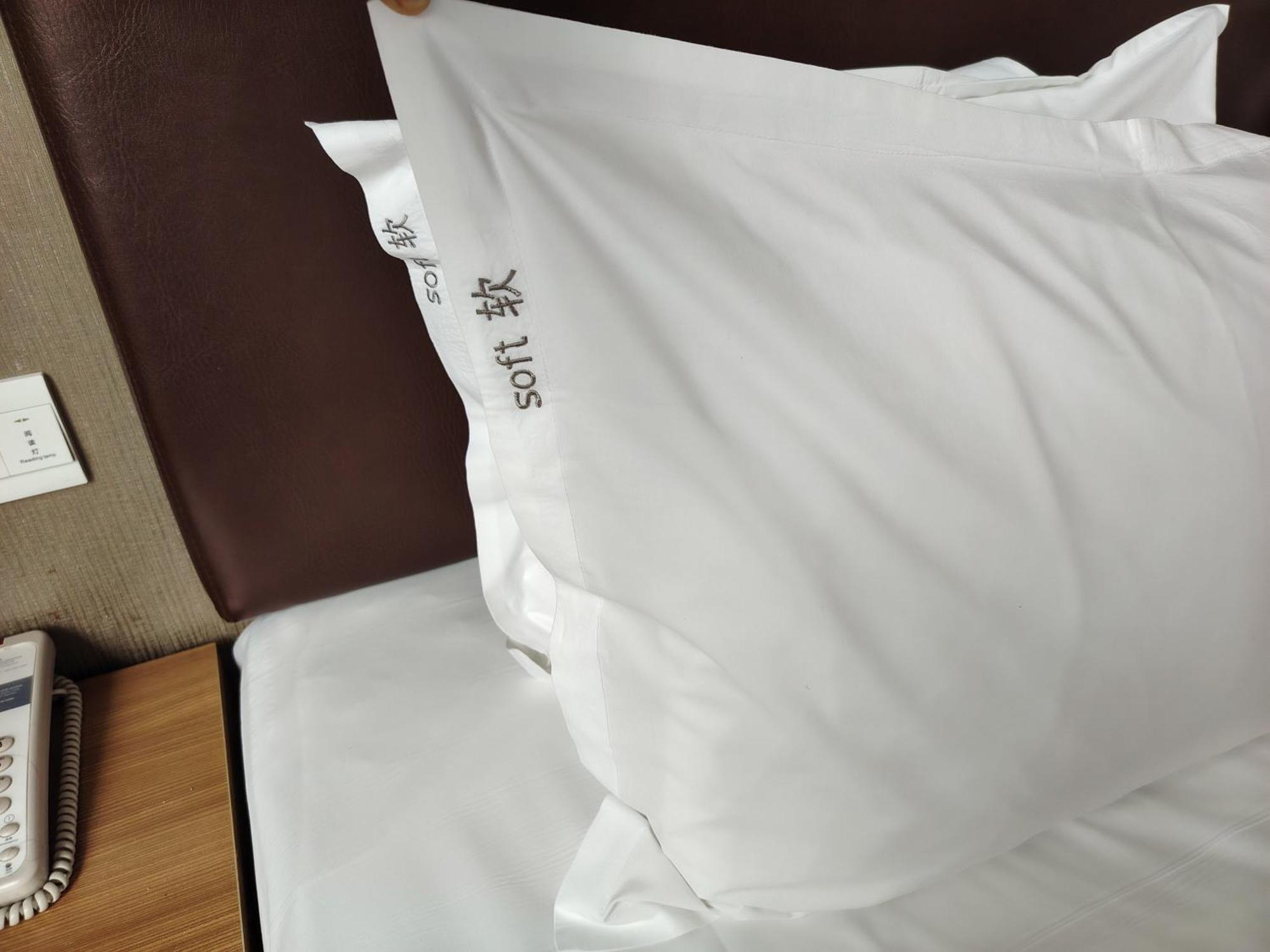 Holiday Inn Express Ordos Dongsheng By Ihg Buitenkant foto